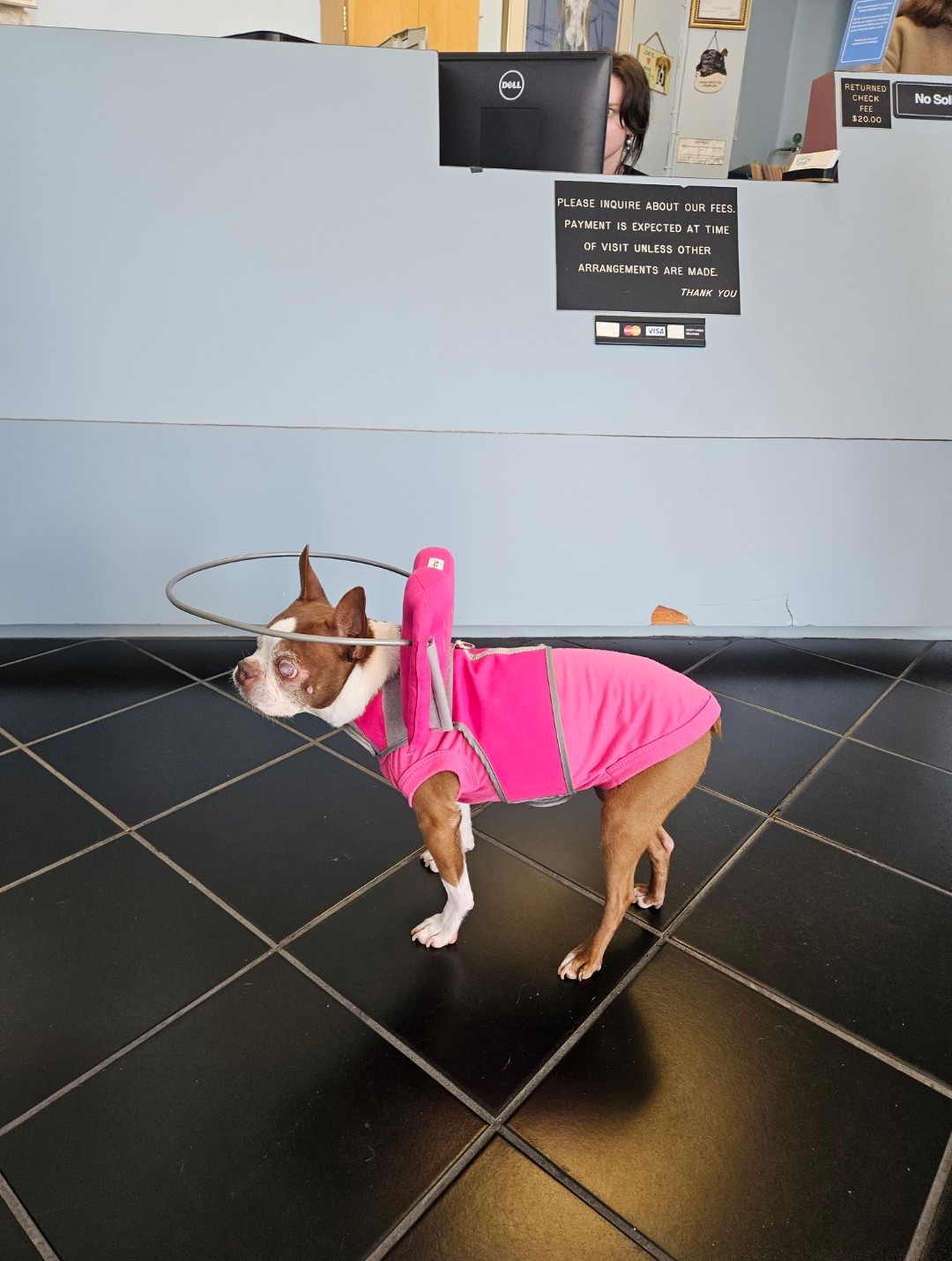Patient in recovery at AVEC